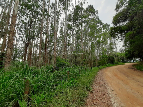 Imagem Fazenda à Venda, 127.997 m² em Pacotuba - Almirante Tamandaré Imagem Fazenda à Venda, 127.997 m² em Pacotuba - Almirante Tamandaré