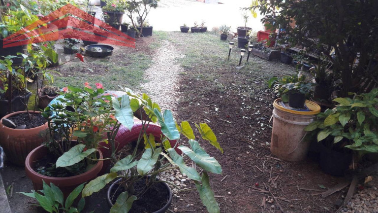 Imagem Casa com 3 Quartos à Venda, 286 m² em Jardim Guanabara - Jundiaí