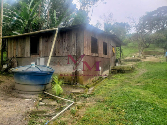 Imagem Chácara com 3 Quartos à Venda, 8.000 m² em Alexandra - Paranaguá