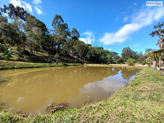 Imagem Chácara à Venda, 8.000 m² em Zona Rural - Quatro Barras Imagem Chácara à Venda, 8.000 m² em Zona Rural - Quatro Barras