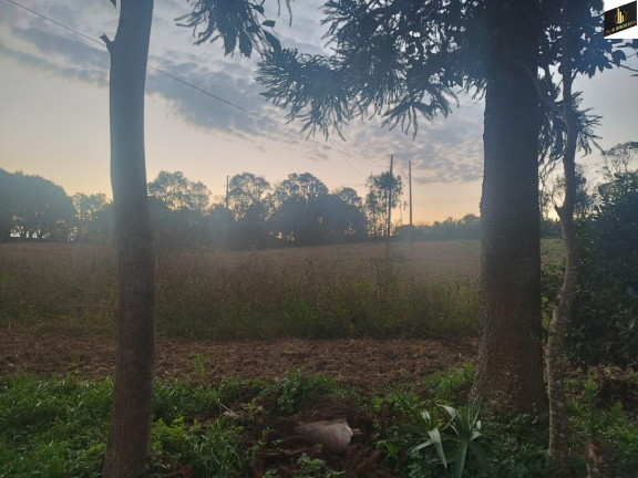 Imagem Imóvel com 3 Quartos à Venda, 48.400 m² em Colônia Murici - São José Dos Pinhais