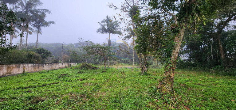 Imagem Terreno à Venda, 80 m² em Praia Do Erwino - São Francisco Do Sul Imagem Terreno à Venda, 80 m² em Praia Do Erwino - São Francisco Do Sul