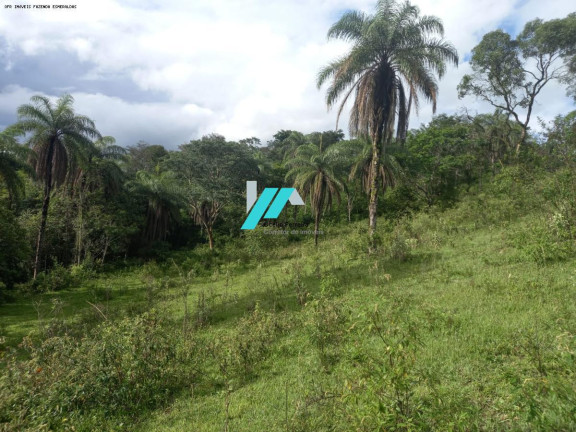 Imagem Fazenda à Venda, 27 m² em Caio Martins - Esmeraldas Imagem Fazenda à Venda, 27 m² em Caio Martins - Esmeraldas