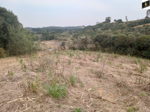 Imagem Imóvel à Venda, 96.800 m² em Colonia Marcelino - São José Dos Pinhais