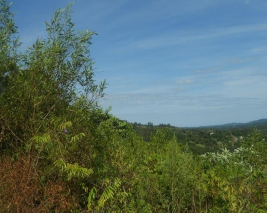 Imagem Terreno à Venda, 7 m² em Lichthenthal - Picada Café