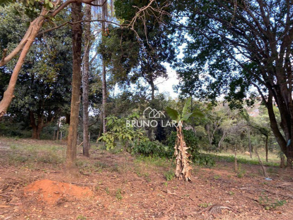 Imagem Terreno à Venda, 120.000 m² em Novo Horizonte - Igarapé Imagem Terreno à Venda, 120.000 m² em Novo Horizonte - Igarapé