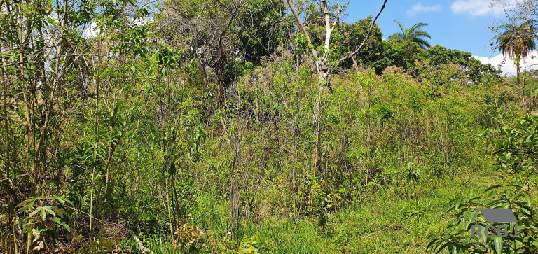 Imagem Terreno à Venda, 10.000 m² em Vista Alegre - Esmeraldas Imagem Terreno à Venda, 10.000 m² em Vista Alegre - Esmeraldas