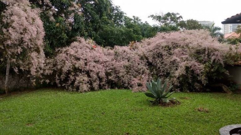 Imagem Casa de Condomínio com 8 Quartos à Venda, 1.340 m² em Barra Da Tijuca - Rio De Janeiro Imagem Casa de Condomínio com 8 Quartos à Venda, 1.340 m² em Barra Da Tijuca - Rio De Janeiro