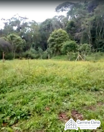 Imagem Terreno à Venda, 250 m² em Ubatumirim - Ubatuba Imagem Terreno à Venda, 250 m² em Ubatumirim - Ubatuba