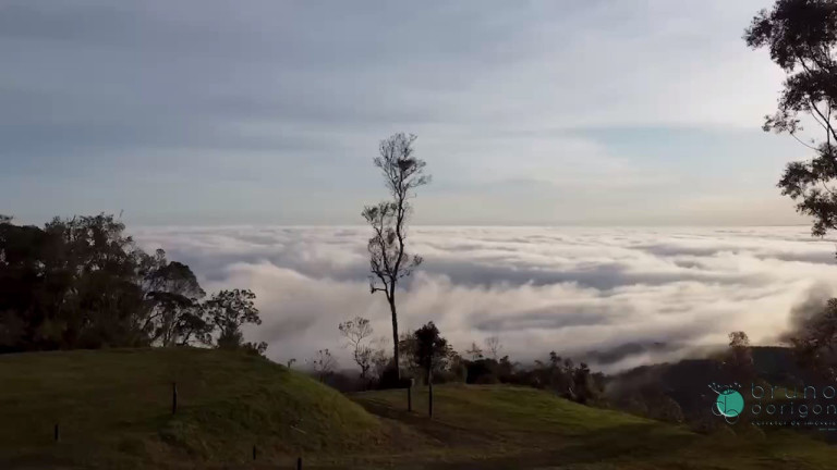 Imagem Imóvel com 3 Quartos à Venda, 28.000 m² em Zona Rural - Bom Retiro