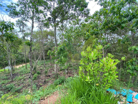 Imagem Chácara com 3 Quartos à Venda, 5.100 m² em Portão - Atibaia Imagem Chácara com 3 Quartos à Venda, 5.100 m² em Portão - Atibaia