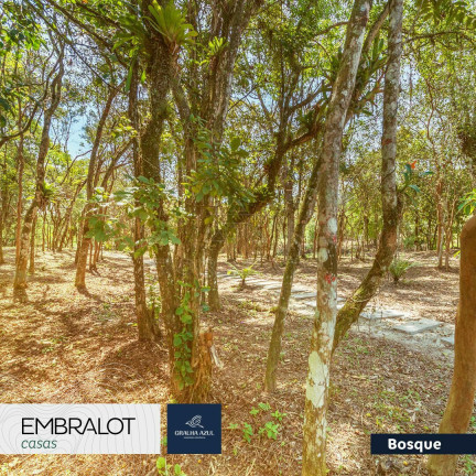 Imagem Terreno à Venda, 600 m² em Distrito Rio Do Meio - Camboriú Imagem Terreno à Venda, 600 m² em Distrito Rio Do Meio - Camboriú