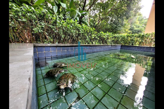 Imagem Apartamento com 3 Quartos à Venda, 65 m² em Jardim Marajoara - São Paulo Imagem Apartamento com 3 Quartos à Venda, 65 m² em Jardim Marajoara - São Paulo