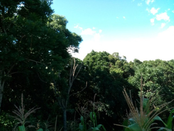 Imagem Terreno à Venda, 923 m² em Vale Verde - Nova Petrópolis Imagem Terreno à Venda, 923 m² em Vale Verde - Nova Petrópolis