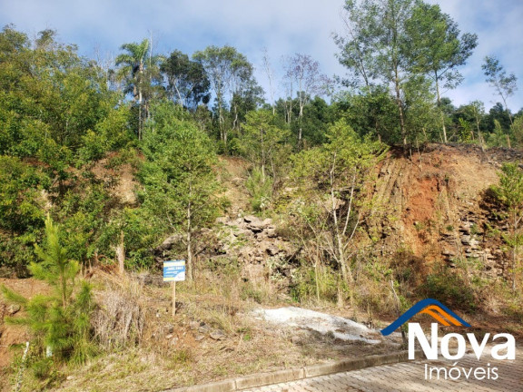 Imagem Imóvel à Venda, 379 m² em Bavária - Nova Petrópolis