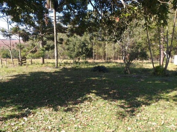 Imagem Chácara à Venda, 11 m² em Area Rural De Avaré - Avaré Imagem Chácara à Venda, 11 m² em Area Rural De Avaré - Avaré