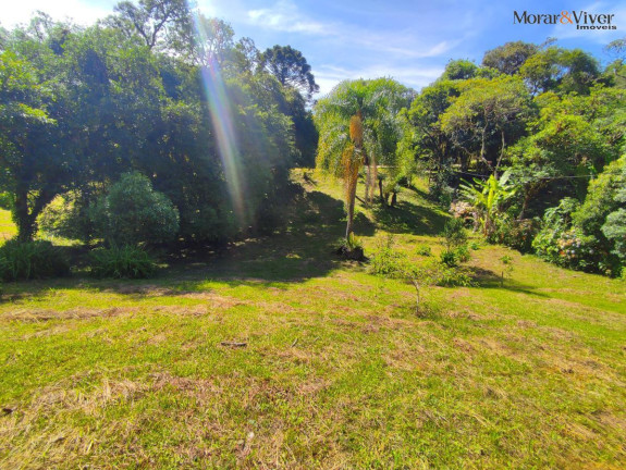 Imagem Chácara com 2 Quartos à Venda, 7.724 m² em Loteamento Chácara Chantecler - Piraquara Imagem Chácara com 2 Quartos à Venda, 7.724 m² em Loteamento Chácara Chantecler - Piraquara