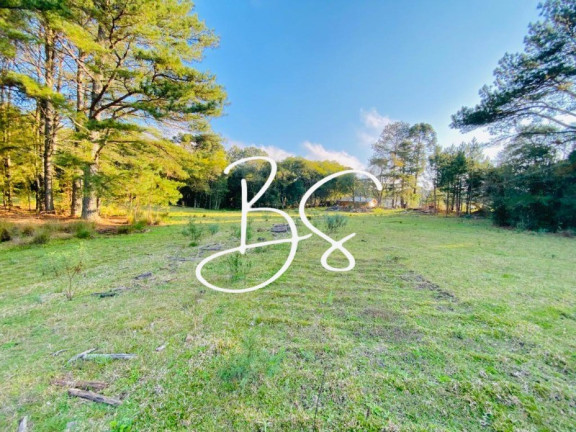 Imagem Terreno à Venda, 100.000 m² em Mato Queimado - Gramado Imagem Terreno à Venda, 100.000 m² em Mato Queimado - Gramado