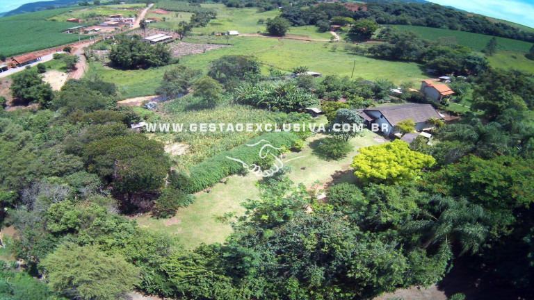 Imagem Chácara com 3 Quartos à Venda, 7.500 m² em Zona Rural - Morungaba Imagem Chácara com 3 Quartos à Venda, 7.500 m² em Zona Rural - Morungaba