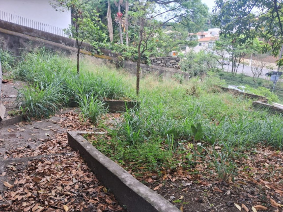 Imagem Terreno à Venda, 506 m² em Pacaembu - São Paulo Imagem Terreno à Venda, 506 m² em Pacaembu - São Paulo