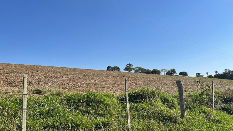 Imagem Fazenda à Venda, 95 m² em Rural - Paranapanema Imagem Fazenda à Venda, 95 m² em Rural - Paranapanema
