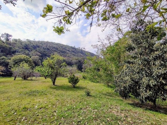 Imagem Imóvel com 6 Quartos à Venda, 6.500 m² em Campo Limpo - Teresópolis Imagem Imóvel com 6 Quartos à Venda, 6.500 m² em Campo Limpo - Teresópolis