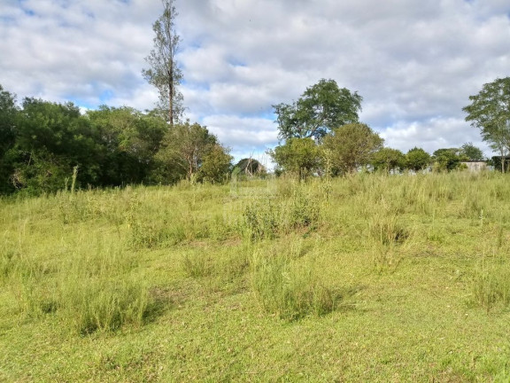 Imagem Terreno à Venda, 5.000 m² em Boi Morto - Santa Maria Imagem Terreno à Venda, 5.000 m² em Boi Morto - Santa Maria