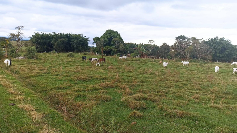 Imagem Fazenda à Venda, 100 m² em Estiva - Taubaté