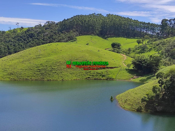 Imagem Chácara à Venda, 20.000 m² em Centro - Paraibuna