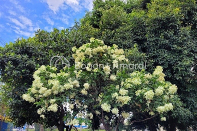 Imagem Terreno à Venda, 200 m² em Vila Monte Alegre - Paulínia Imagem Terreno à Venda, 200 m² em Vila Monte Alegre - Paulínia