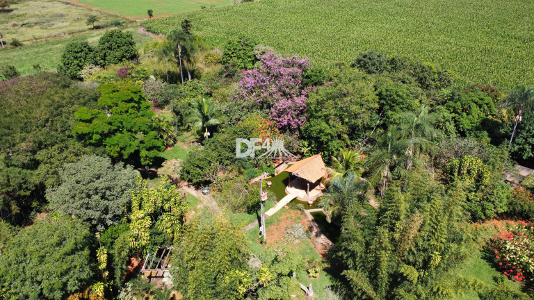 Imagem Imóvel com 16 Quartos à Venda, 4.400 m² em Planaltina - Brasília Imagem Imóvel com 16 Quartos à Venda, 4.400 m² em Planaltina - Brasília