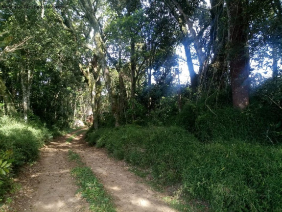 Imagem Terreno à Venda, 4 m² em Pinhal Alto - Nova Petrópolis Imagem Terreno à Venda, 4 m² em Pinhal Alto - Nova Petrópolis