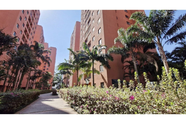 Imagem Apartamento com 3 Quartos à Venda, 64 m² em Campo Grande - São Paulo