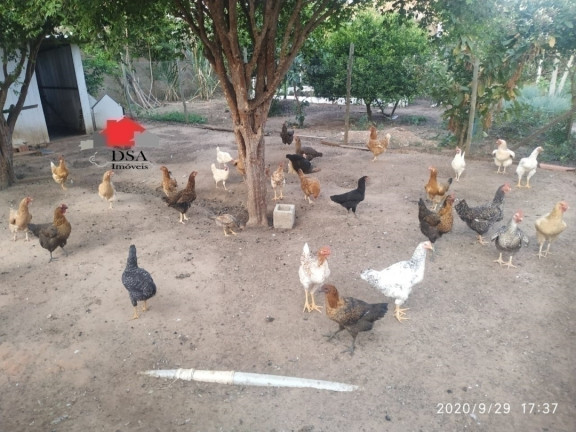 Imagem Chácara com 3 Quartos à Venda, 1.500 m² em Chácaras Planalto - Monte Mor