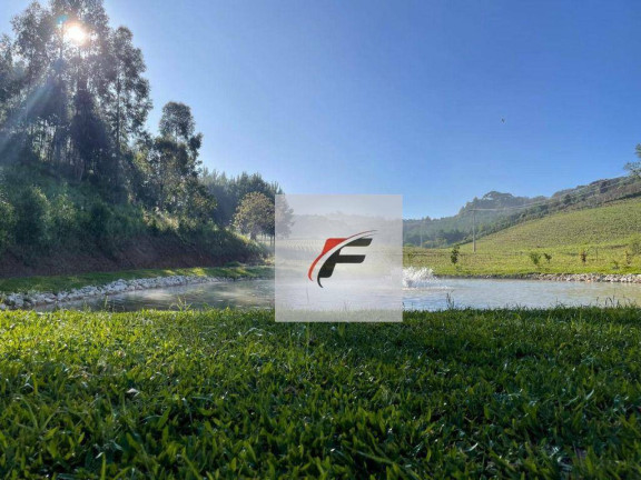 Imagem Chácara com 2 Quartos à Venda, 28.000 m² em Bacaetava - Colombo