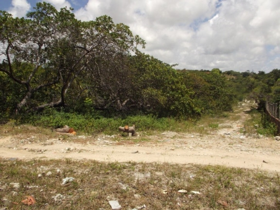 Imagem Terreno à Venda, 8 m² em Lot. Paraíso De Pium - Parnamirim Imagem Terreno à Venda, 8 m² em Lot. Paraíso De Pium - Parnamirim