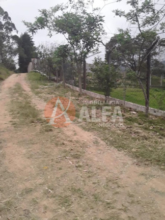 Imagem Imóvel com 2 Quartos à Venda, 1.500 m² em Caete (mailasqui) - São Roque Imagem Imóvel com 2 Quartos à Venda, 1.500 m² em Caete (mailasqui) - São Roque