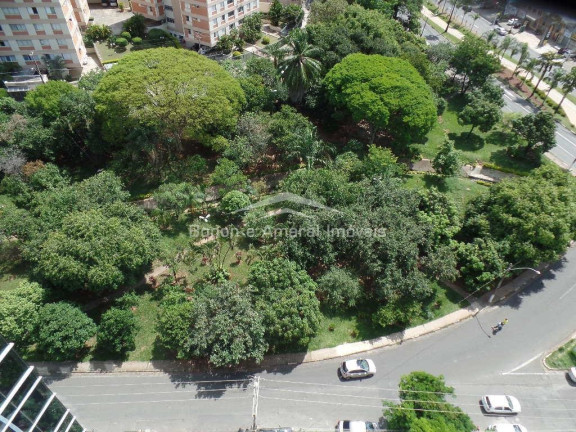 Imagem Sala Comercial à Venda, 502 m² em Chácara Da Barra - Campinas Imagem Sala Comercial à Venda, 502 m² em Chácara Da Barra - Campinas