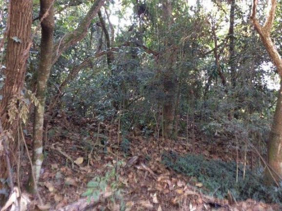 Imagem Terreno à Venda, 2.553 m² em Chácaras Do Peroba - Jandira Imagem Terreno à Venda, 2.553 m² em Chácaras Do Peroba - Jandira