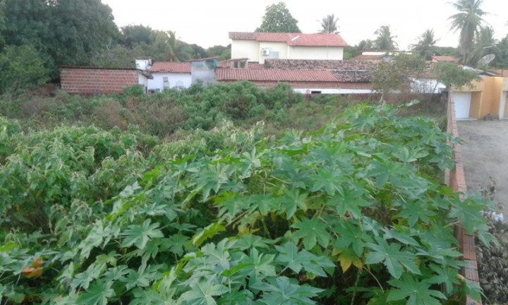 Imagem Imóvel à Venda, 1.215 m² em Pacajus - Pacajus