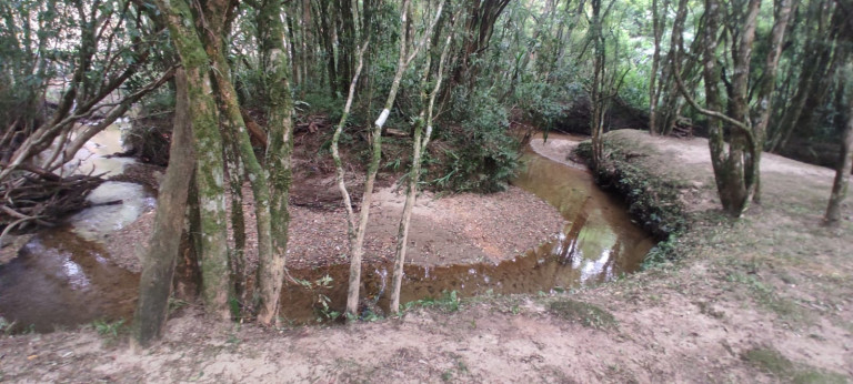 Imagem Chácara com 3 Quartos à Venda, 3.000 m² em Bugre - Balsa Nova
