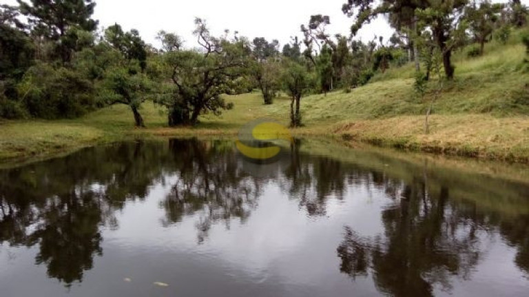 Imagem Chácara com 2 Quartos à Venda, 21.250 m² em Jardim Brasília - Mairinque Imagem Chácara com 2 Quartos à Venda, 21.250 m² em Jardim Brasília - Mairinque