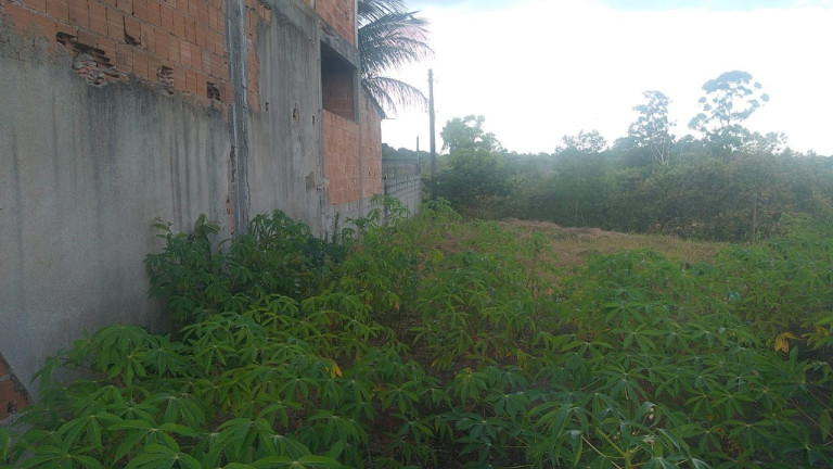 Imagem Imóvel à Venda, 300 m² em Santa Cruz - Aracruz Imagem Imóvel à Venda, 300 m² em Santa Cruz - Aracruz
