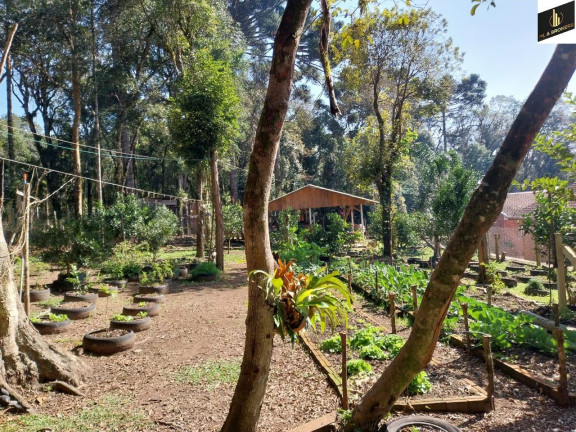 Imagem Imóvel com 5 Quartos à Venda, 30.000 m² em Margens Ro Da Varzea - Quitandinha