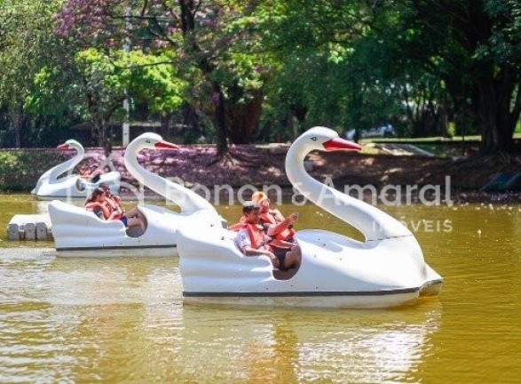 Imagem Sala Comercial para Alugar, em Parque Brasil 500 - Paulínia Imagem Sala Comercial para Alugar, em Parque Brasil 500 - Paulínia