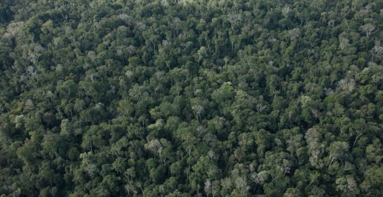 Imagem Imóvel à Venda, 29 m² em área Rural De São Paulo - São Paulo Imagem Imóvel à Venda, 29 m² em área Rural De São Paulo - São Paulo