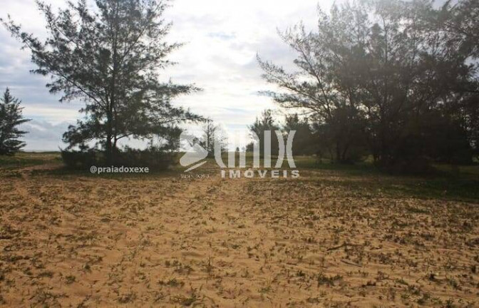 Imagem Terreno para Alugar, 1.800 m² em Farol De São Thomé - Campos Dos Goytacazes Imagem Terreno para Alugar, 1.800 m² em Farol De São Thomé - Campos Dos Goytacazes