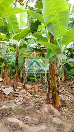 Imagem Imóvel com 2 Quartos à Venda, 100 m² em Ana Dias - Ana Dias