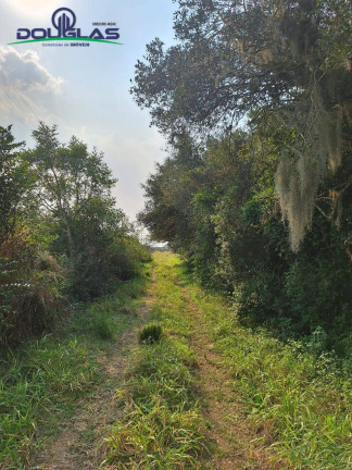 Imagem Chácara à Venda, em Viamão Imagem Chácara à Venda, em Viamão