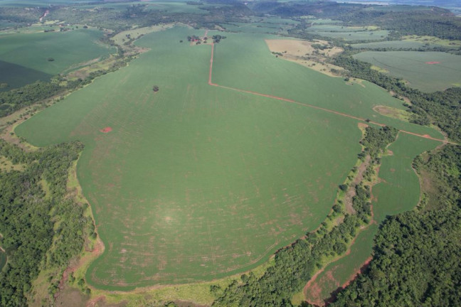 Imagem Fazenda à Venda, 160 m² em Zona Rural - Rio Verde